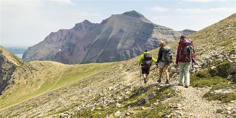 private tours glacier national park|Guided Hiking Trips